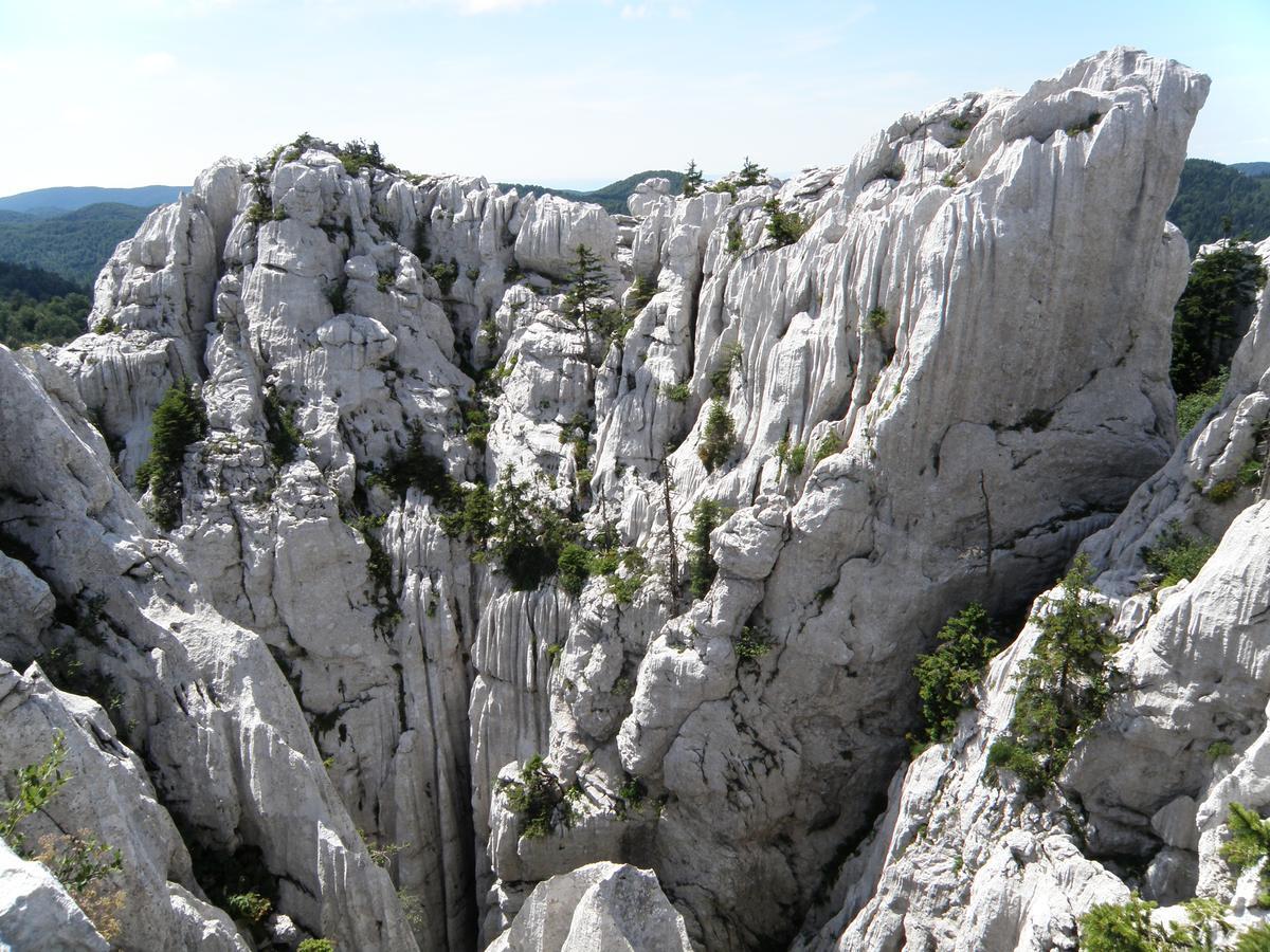 Chalet Calla 므르코팔리 외부 사진