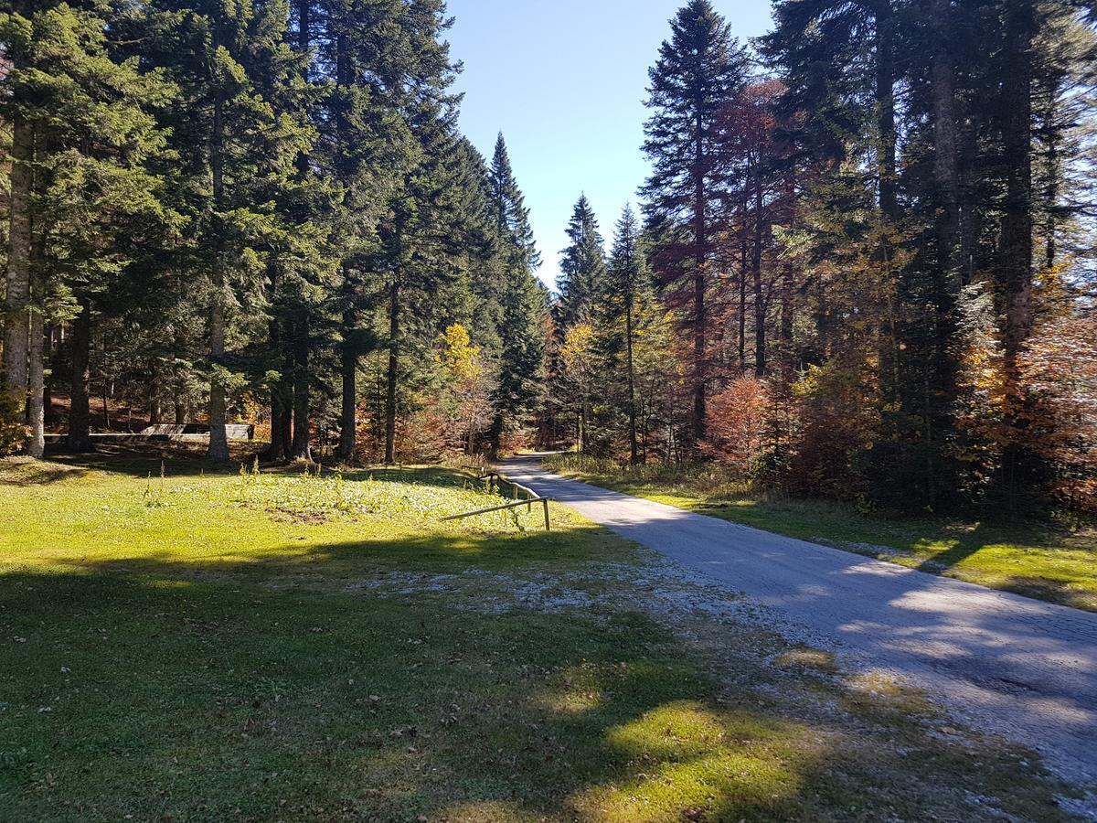 Chalet Calla 므르코팔리 외부 사진